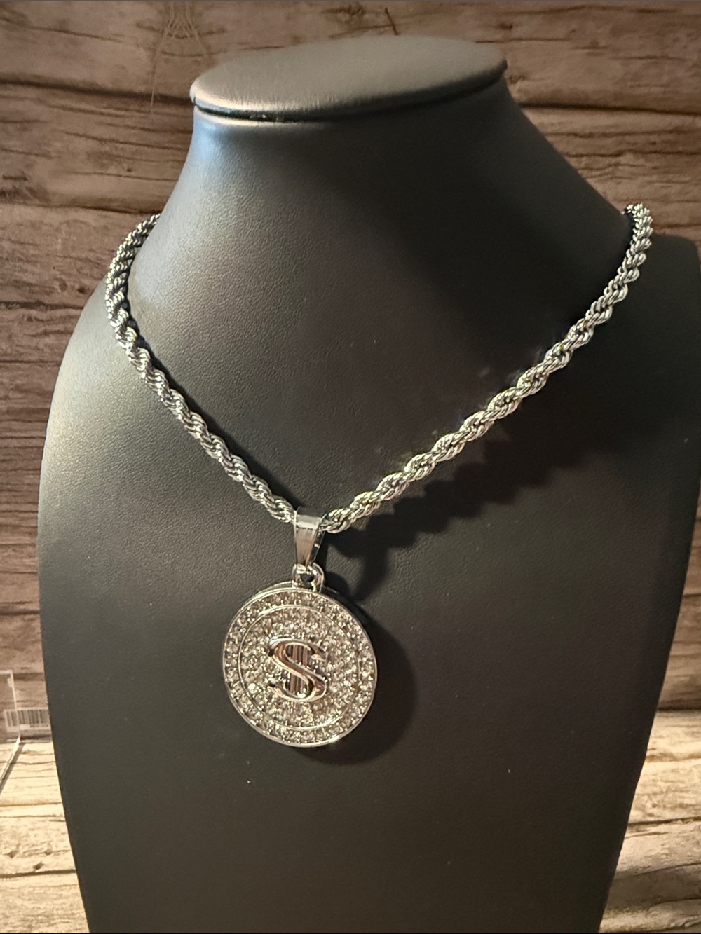 Men’s Crystal-Embellished Silver Medallion Dollar Pendant & Rope Chain Necklace